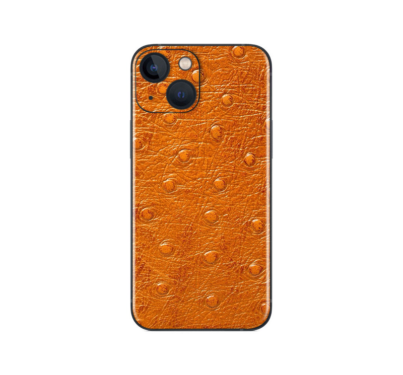 iPhone 13 Discounted Collection