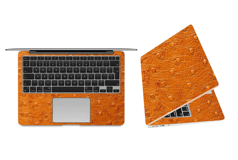 MacBook Air 13 2008-2017 Animal Skin