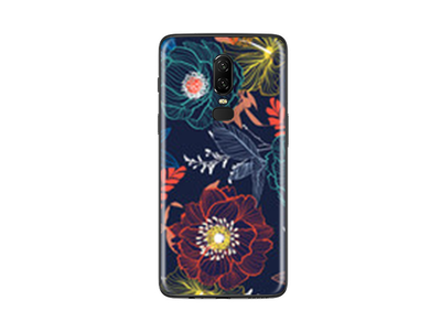 OnePlus 6 Colorful