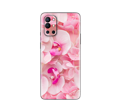 OnePlus 9R  Flora