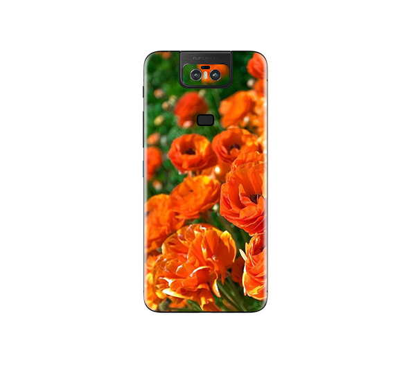 Asus Zenfone 6 Flora