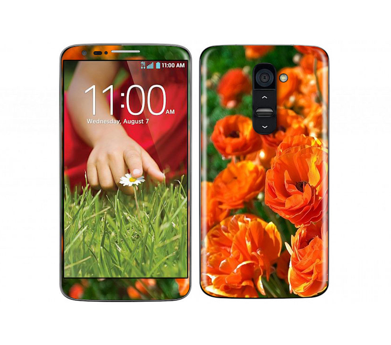 LG G2 Flora