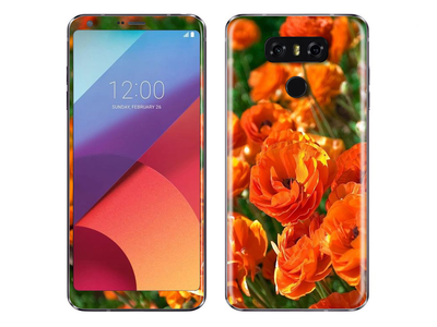 LG G6 Flora