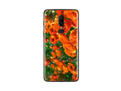 OnePlus 6 Flora