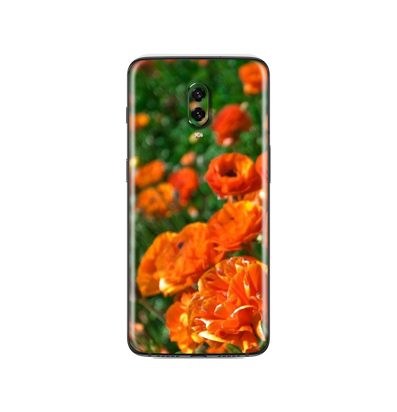 OnePlus 6t Flora