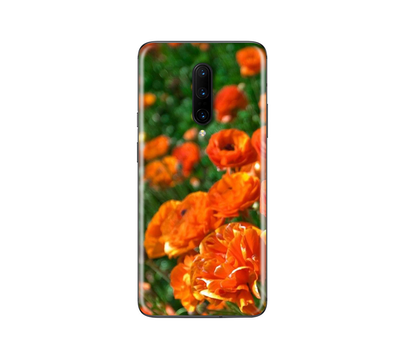 OnePlus 7 Pro  Flora