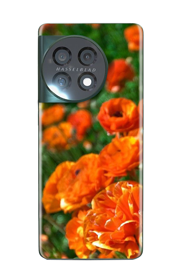 OnePlus 11 Flora