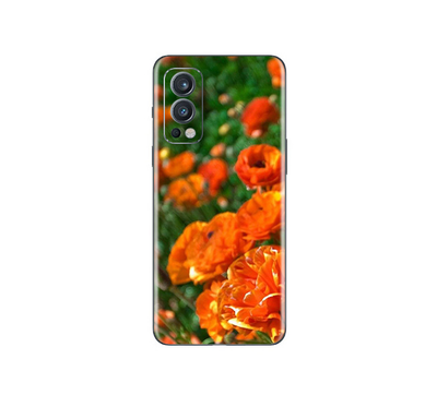 OnePlus Nord 2 5G  Flora