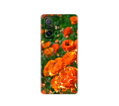 Xiaomi 11T Pro  Flora