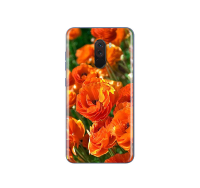 Xiaomi PocoPhone F1 Flora