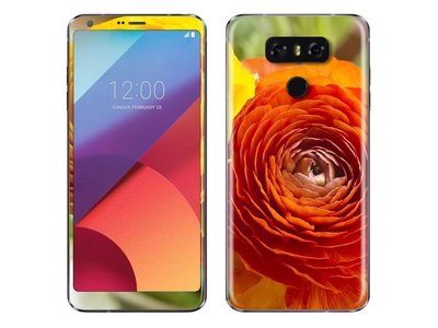 LG G6 Flora