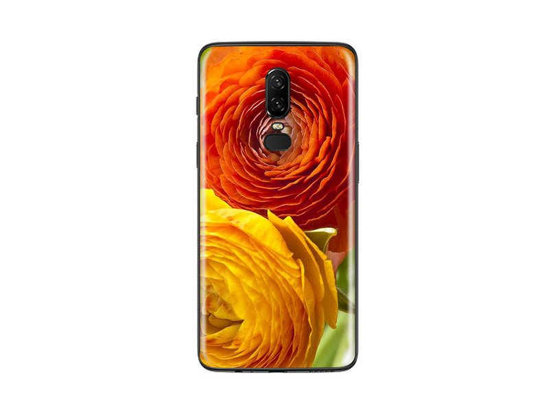 OnePlus 6 Flora