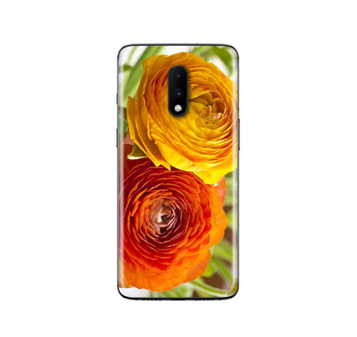 OnePlus 7  Flora