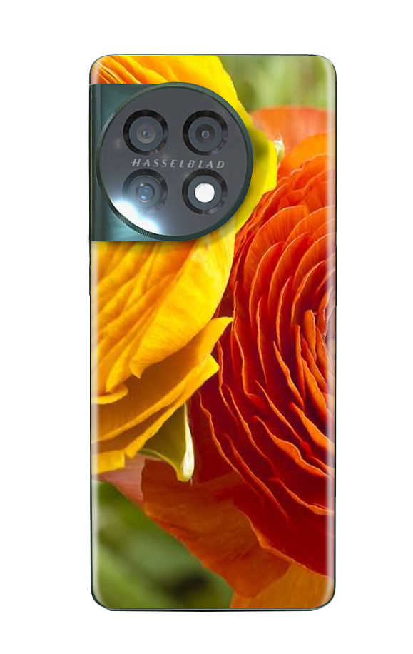 OnePlus 11 Flora