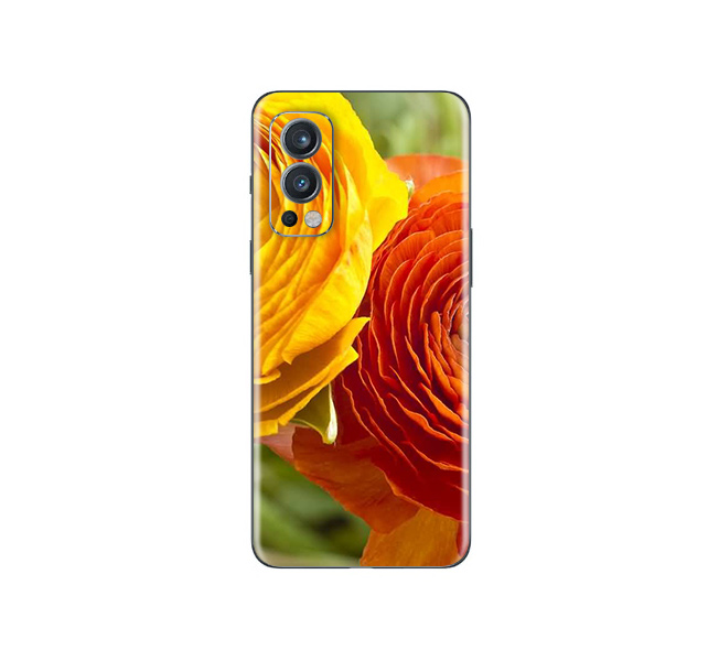 OnePlus Nord 2 5G  Flora