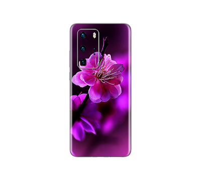 Huawei P40 Pro Flora