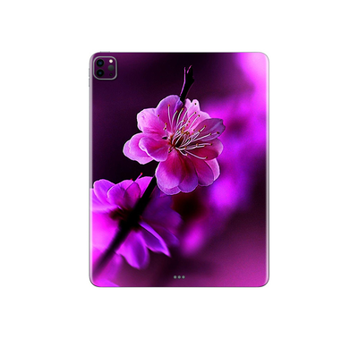 iPad Pro 11 In 2020 Gen 2 Flora