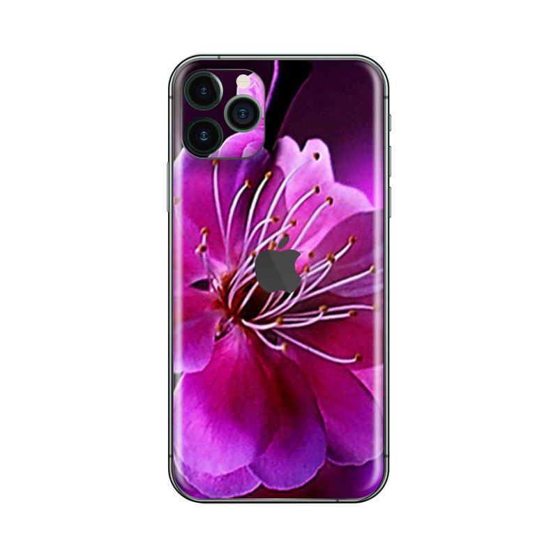 iPhone 11 Pro Flora