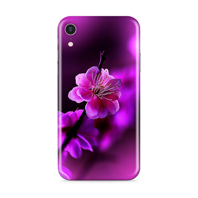 iPhone XR Flora