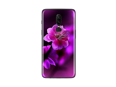 OnePlus 6 Flora