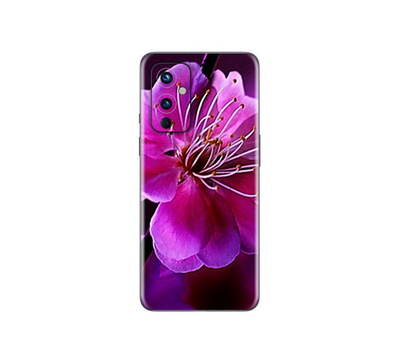 OnePlus 9  Flora