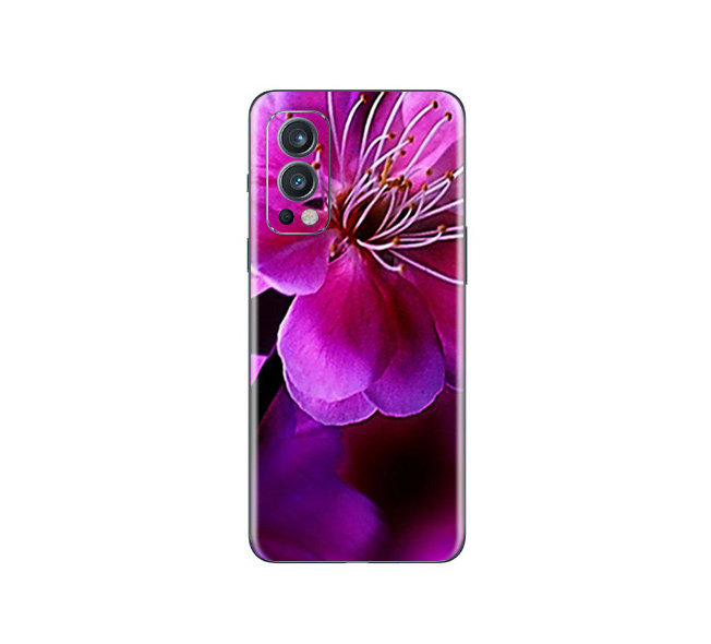 OnePlus Nord 2 5G  Flora