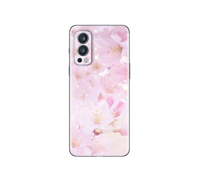 OnePlus Nord 2 5G  Flora