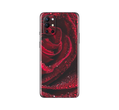 OnePlus 9R  Flora