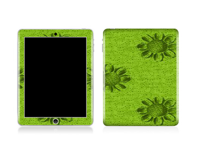 iPad Orginal Green