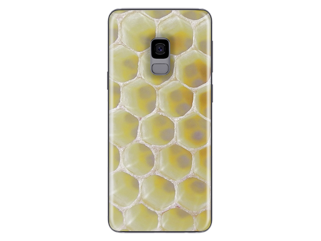 Galaxy S9 Honey Combe