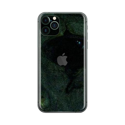 iPhone 11 Pro Horror