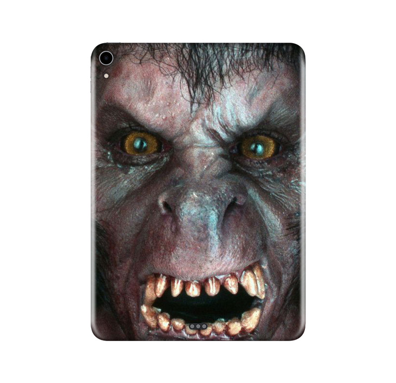 iPad Pro 11" (1st GEN) Horror