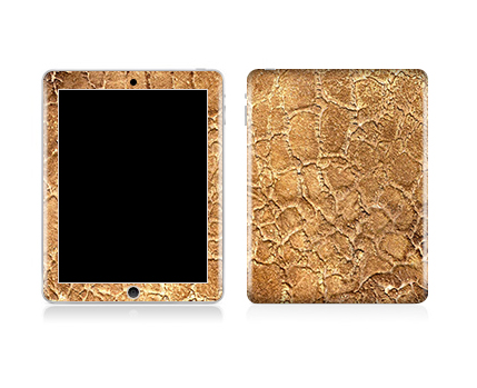 iPad Orginal Leather