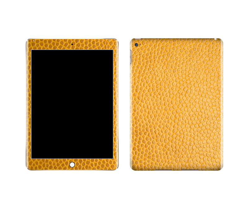 iPad Air 2 Leather