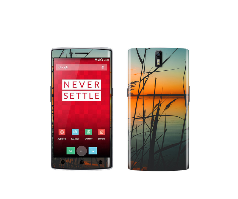 OnePlus One Natural