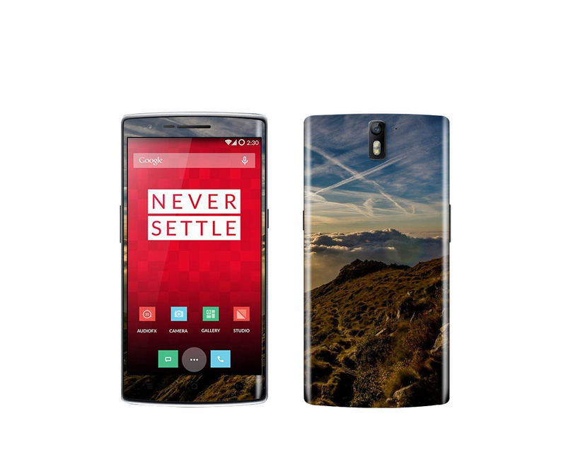 OnePlus One Natural