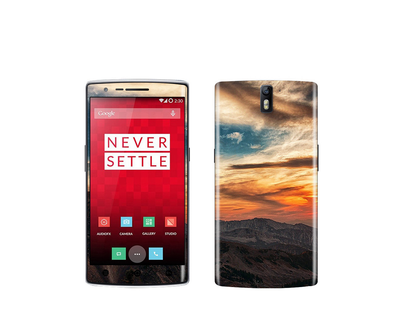 OnePlus One Natural