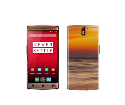 OnePlus One Natural