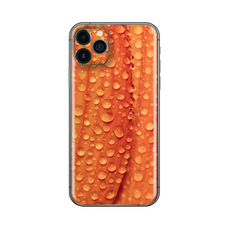 iPhone 11 Pro Max Orange