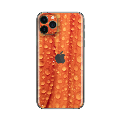 iPhone 11 Pro Orange