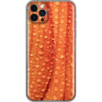 iPhone 12 Pro Max Orange