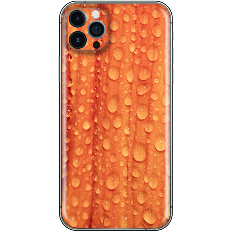 iPhone 12 Pro Orange