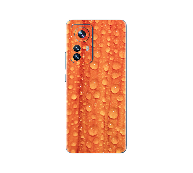 Xiaomi 12 Pro  Orange