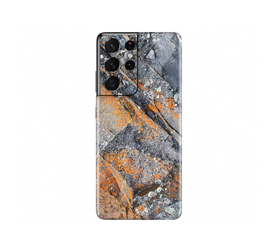 Galaxy S21 Ultra 5G Stone
