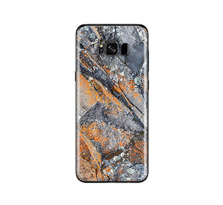 Galaxy S8 Plus Stone