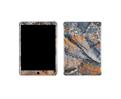 iPad Air Stone