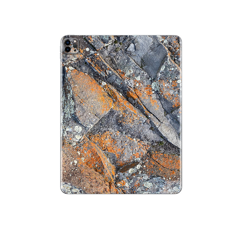 iPad Pro 11 In 2020 Gen 2 Stone