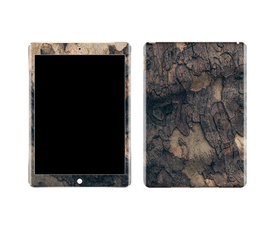 iPad Air 2 Wood Grains